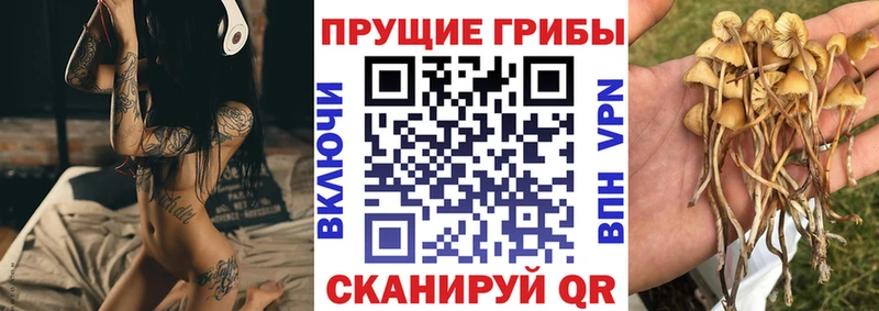гидра зеркало  Новосокольники  Псилоцибиновые грибы Psilocybe  как найти наркотики 